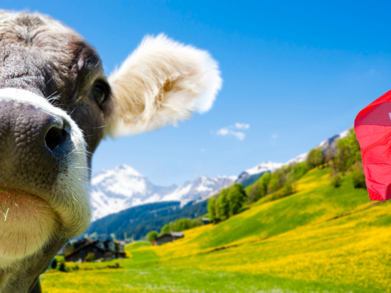 Jungschar - SoLa 2026